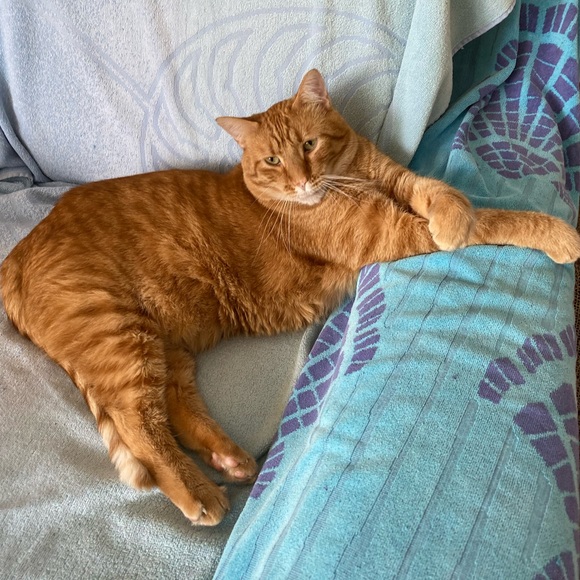 Meet Your Posher, Jessie, - Picture 8 of 8